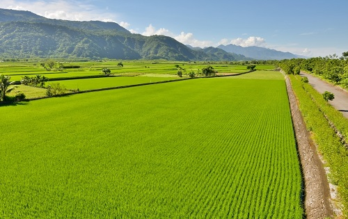 土壤養分等級分級標準，土壤養分檢測儀檢測土壤處于哪個標準