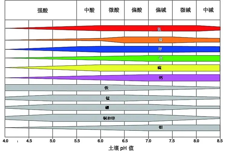 土壤酸堿性的級別有哪些？土壤酸堿度速測儀深入解析土壤pH值